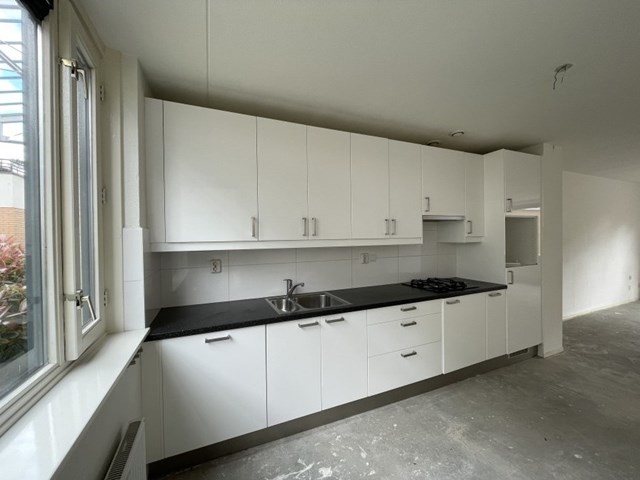 Foto 4: Amersfoort - Hugo de Vries Serre - Foto 4