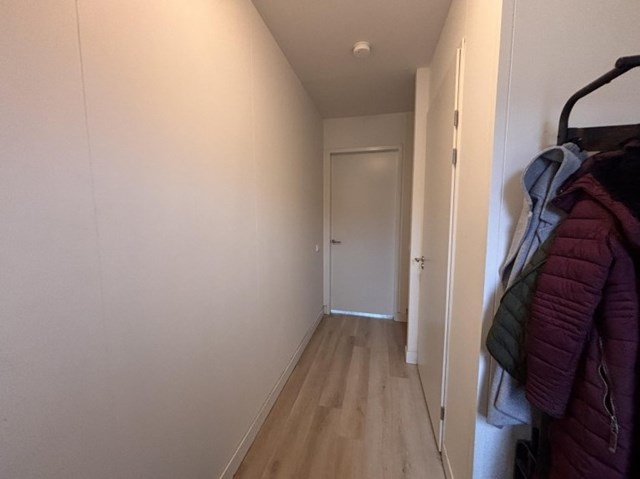 Foto 3: Linne - Boomgaard - Foto 3