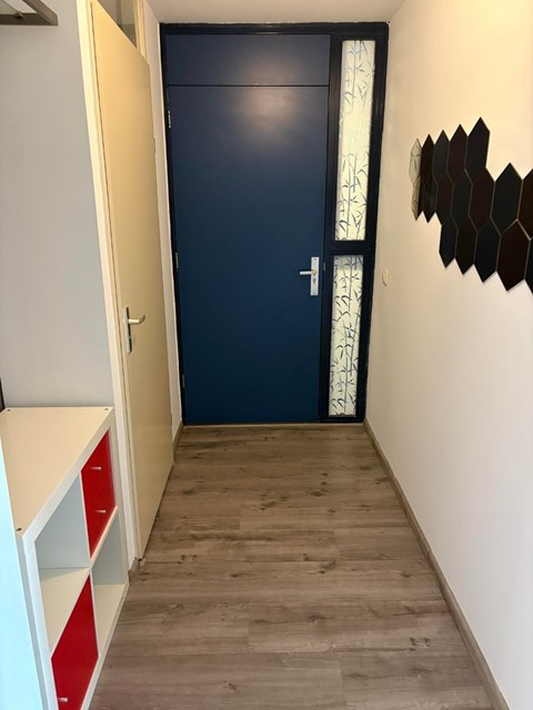 Foto 4: Leiden - Swammerdampad - Foto 4