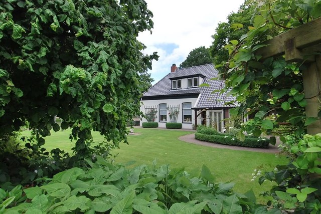 Foto 2: Zuidlaren - Brink Z.Z. - Foto 2