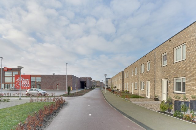 Foto 2: Zeewolde - Molengang - Foto 2