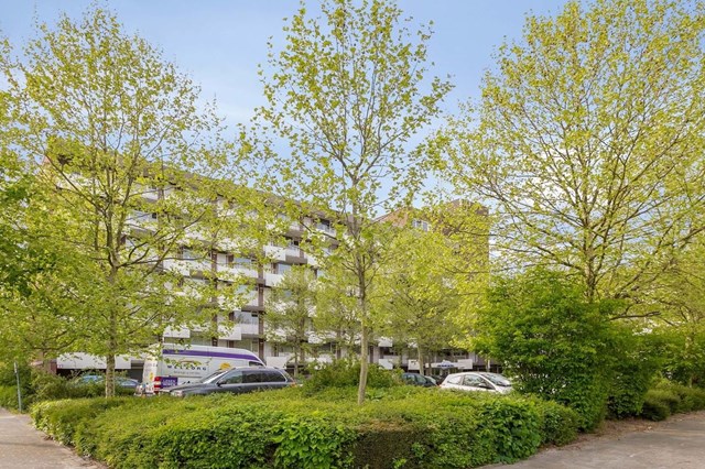 Foto 2: Eindhoven - Geldropseweg - Foto 2