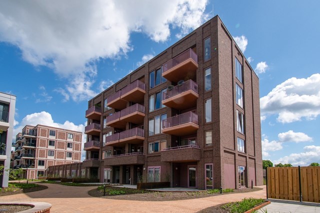 Foto 1: Helmond - Oostende - Foto 1
