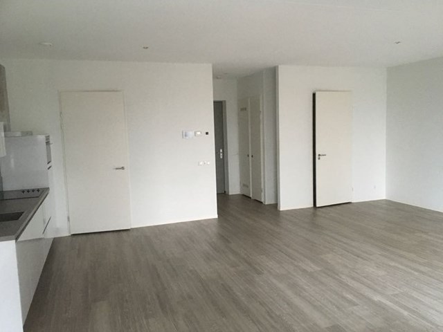 Foto 6: Eindhoven - Philitelaan - Foto 6