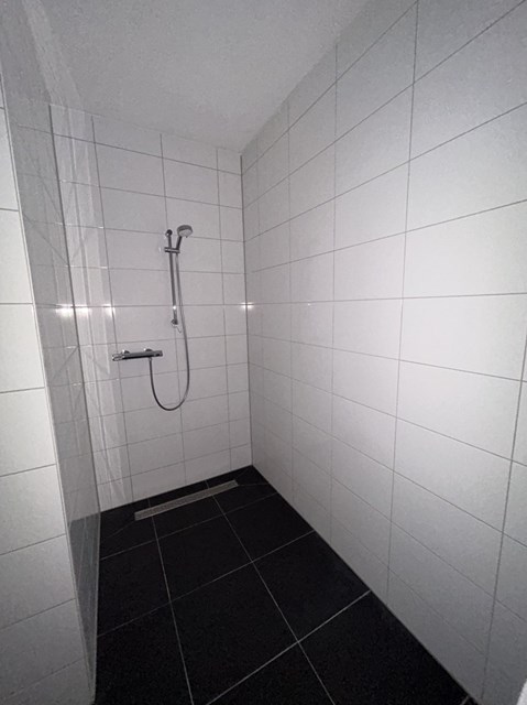 Foto 7: Eindhoven - meergras - Foto 7