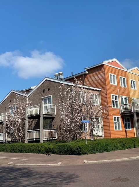 Foto 1: Rotterdam - Mattenbiesstraat - Foto 1