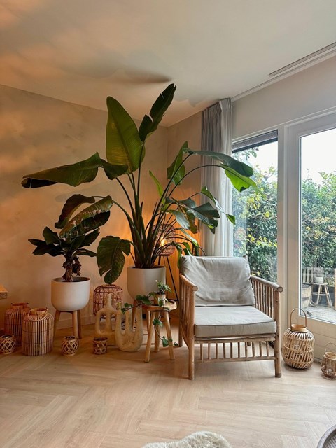 Foto 6: Zaandijk - Domineestuin - Foto 6