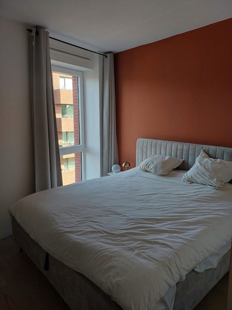 Foto 3: Eindhoven - Meergras - Foto 3