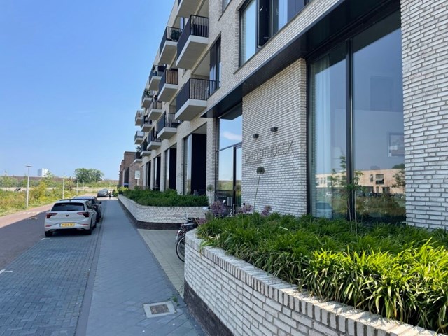 Foto 2: Utrecht - Wilde Rucolavliet - Foto 2