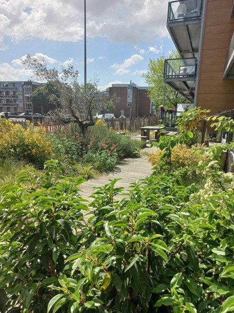 Foto 3: Rotterdam - Persoonsdam - Foto 3