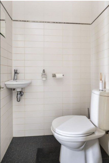 Foto 4: Eindhoven - Grasplant - Foto 4