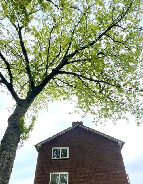Foto 2: Hilversum - Van Hasseltlaan - Foto 2