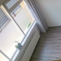 Delft, Trompetstraat, eengezinswoning - foto 6
