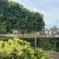 Garderen, Dorpsstraat, eengezinswoning - foto 5