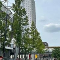 Eindhoven, Gerard Philipslaan, 2-kamer appartement - foto 5