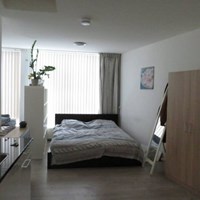 Den Helder, Cornelis de Houtmanstraat, zelfstandige studio - foto 4