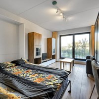 Amsterdam, Welnastraat, zelfstandige studio - foto 4