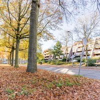 Eindhoven, Vincent van Den Heuvellaan, 3-kamer appartement - foto 4