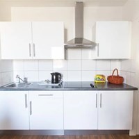 Rijswijk (ZH), Leeuwendaallaan, 2-kamer appartement - foto 4