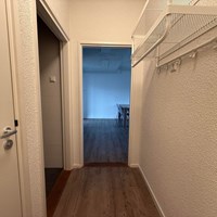 Eindhoven, Lupinestraat, portiekflat - foto 5