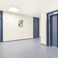 Amstelveen, Groenhof, 2-kamer appartement - foto 4