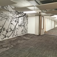 Rotterdam, Van Vollenhovenstraat, 2-kamer appartement - foto 5