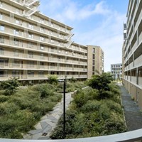 Breda, Terheijdenstraat, 3-kamer appartement - foto 4