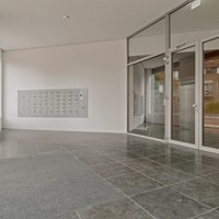 Arnhem, Kleine Oord, 2-kamer appartement - foto 5