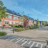 Nibbixwoud, Sneeuwgans, eengezinswoning - foto 6