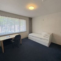 Eindhoven, Zeelsterstraat, kamer - foto 6