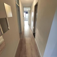 Helmond, De Elzas, 2-kamer appartement - foto 6