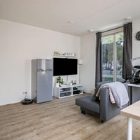 Eindhoven, Blaarthemseweg, 2-kamer appartement - foto 6