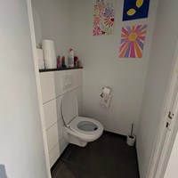 Maastricht, Professor Moserstraat, 4-kamer appartement - foto 6