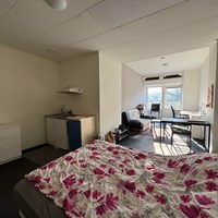 Leeuwarden, Bildtsestraat, zelfstandige studio - foto 5