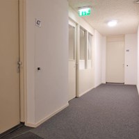 Utrecht, Johan de Meesterstraat, 2-kamer appartement - foto 6