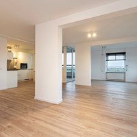 Den Haag, Van Hogenhoucklaan, 4-kamer appartement - foto 5