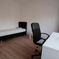 Eindhoven, Orchideeënstraat, studentenkamer - foto 6