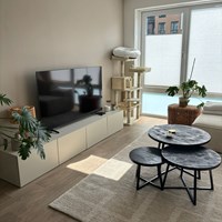 Bornerbroek, Lohuisstraat, 3-kamer appartement - foto 6
