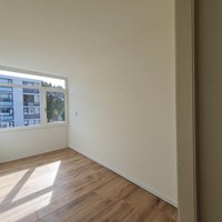 Breda, Hooilaan, semi zelfstandige studio - foto 5