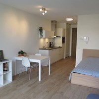 Amsterdam, Ijdoornlaan, zelfstandige studio - foto 6