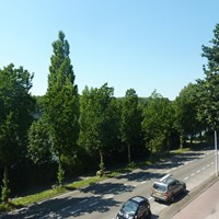 Utrecht, Amsterdamsestraatweg, 2-kamer appartement - foto 5
