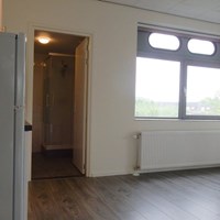 Delft, Kalfjeslaan, 2-kamer appartement - foto 4