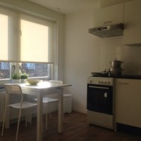 Eindhoven, De Vriesstraat, zelfstandige studio - foto 5