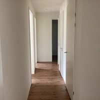 Eindhoven, Grenenhout, 3-kamer appartement - foto 5