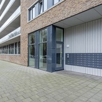 Rotterdam, Berberisweg, 3-kamer appartement - foto 5