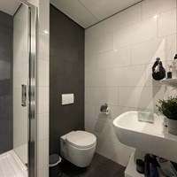 Houten, Randhoeve, zelfstandige studio - foto 6