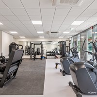 Eindhoven, Grenenhout, 2-kamer appartement - foto 4