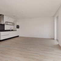 Haarlem, Zagerijpoort, zelfstandige studio - foto 4