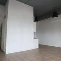 Eindhoven, Van Thienenlaan, portiekflat - foto 5