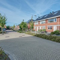 Nibbixwoud, Sneeuwgans, eengezinswoning - foto 5